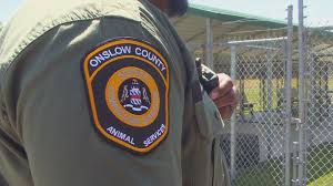 The adoption fee of $140 for a dog and $100 for a cat also includes core vaccinations. Onslow County Animal Services Adds Animal Cruelty Investigator