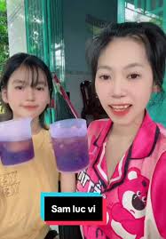 Hướng dẫn sâm lục vị thú vị từ Huỳnh Mến