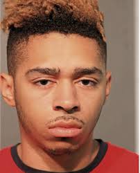 ᐅ Illinois Criminal Records 2009-2025