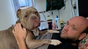 Fundraiser by James Miller : Help Bo & Saleigha During Recovery