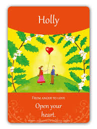 Holly Bach Flower Oracle Card By Susanne Winberg Message Open Your Heart Bach Flower Remedies Bach Flowers Flower Therapy