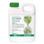 Low price Penoxsulam from www.chicocrop.com