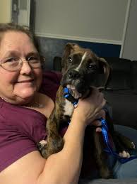 What is the best food for a 5-pound underweight boxer puppy?