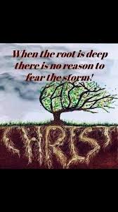  Pin On Bullet Journal