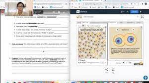 Mar 21, 2021 · librivox about. Cell Division Gizmo Lab Instructions Youtube