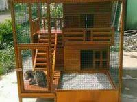 Penolak cat buatan sendiri yang efektif. 27 Ide Rumah Kucing Rumah Kucing Kucing Kandang Kucing