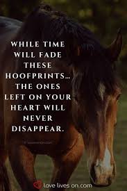 Pin By Julia Angelico On Paardencitaten In 2020 Inspirational Horse Quotes Horse Riding Quotes Horse Lover Quote