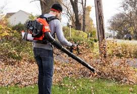 May 03, 2021 · poa trivialis control. Best Backpack Leaf Blower Reviews 2021 Pro Tool Reviews