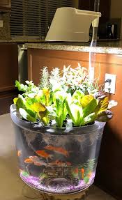 Kingro 5 In 1 Indoor Gardening Ecosystem The Aquaponics Guide