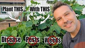 Barry Cherry's Instagram, Twitter & Facebook