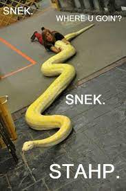 Snek Dictionary Com