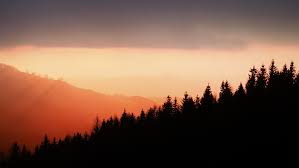 Looking for the best wallpapers? Mac Wallpapers 100 Best Free Wallpaper Outdoor Cloud And Background Photos On Unsplash