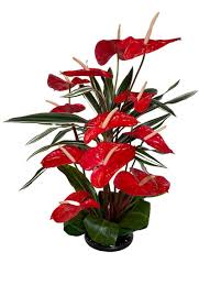 Send flowers online with our fresh flower delivery!our tropical island collections are unique designs that reflect the magical floral elegance of each hawaiian island. Hawaiian Tropical Flowers Kona Coffee And Exotic Gifts Buy Flowers Online At Island Tropicals