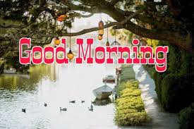 Because, when good things enter in our brain,then we think positive and it effects our work. 100 Good Morning Nature Images Hd Quotes Wishes 2021 Collection