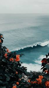 Wallpaper Iphone Aesthetic Nature