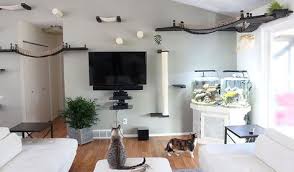 12 Parcours Geniaux Pour Votre Chat Acrobate Chat Appartement Maison Paisible Et Jeux Pour Chat