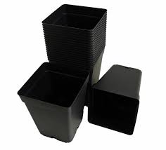 Zeitlos & modern setzt der pflanztopf waterwick® anthrazit ihre pflanzen in szene und erspart ihnen eine menge gießarbeit. 20 Stk Pflanztopf Blumentopf Quadratisch Viereck Aus Kunststoff Onlineshop Von Fuchs Seit 1895