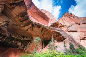 The first leg of the trail gently winds in and out of the juniper bushes and pinion pines. Photo Gallery Hiking The Kolob Canyons Of Zion National Park The Big Outside