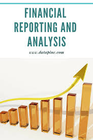 Financial Reporting Analysis Business Analysis Financial Statement Analysis Analysis
