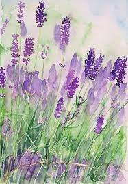 Lavender Watercolor Flowers Watercolour Inspiration Watercolor Art