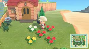 This feature was first introduced to the series in happy this beach house has everything: Animal Crossing New Horizons Flower Guide List How To Breed Hybrids