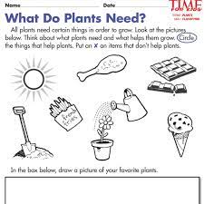 Plant Worksheets For Kindergarten Google Search Kindergarten Worksheets Preschool Worksheets Kindergarten Math Printables