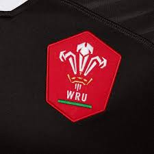 Wales' most recent championship and grand slam victory came in 2019. Macron Wales Rugby 21 Away Jersey World Rugby Shop