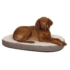 Wenn dein hund sich also auf eine doggyfit matratze legt, passt sich diese seinem körper an und geht, wenn er aufsteht wieder in seine ursprüngliche form zurück. Hunde Memory Foam Matratze Oval Von Kerbl Gunstig Bestellen Tiierisch De