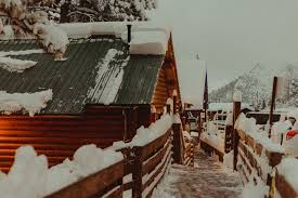 Maybe you would like to learn more about one of these? Mt Charleston Cozy Winter Weekend Getaway Travel Adventure Photography Kamra Fuller Photography