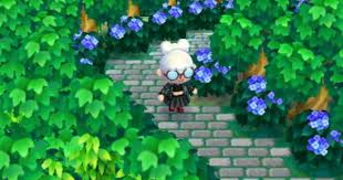 Outdoor Bush Lined Pathway With Surrounding Forest Animal Crossing Animal Crossing Qr Forest Animals