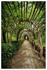 Jardin De Marqueyssac Garden Arches Rustic Gardens Garden Arch