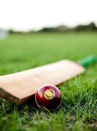 Plastic cricket bat and ball to find the best materials and designs for you. Download Premium Image Of Cricket Bat And Ball On Green Grass 529011 Cricket Bat Cricket Wallpapers Cricket Balls