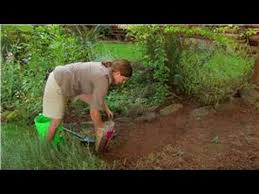 Check spelling or type a new query. Gardening Preparation Tips How To Mix Peat Moss Topsoil Youtube