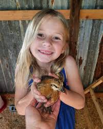 Our chicken coop!🐔🐣🐔