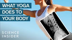 A gradual improvement of your neurological system will happen as well, facilitating the body balance for anything you do. What Happens To Your Brain And Body When You Do Yoga Regularly Youtube