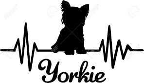 Download Heartbeat Frequency With Yorkie Dog Silhouette Royalty Free Cliparts Vectors And Stock Illustration Image 115197362