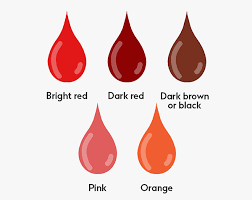 Darah haid berwarna cokelat kehitaman ini biasanya masih merupakan kondisi yang normal. Benarkah Warna Darah Haid Bisa Menentukan Kondisi Kesehatan Wanita