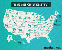 The Most Popular Dog Breeds In Each State Most Popular Dog Breeds Dog Breeds Dogs