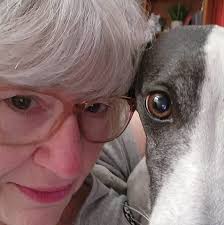 The Bradford Exchange