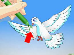 Gambar sketsa burung merpati gambar sketsa burung merpati terbang sketsa gambar sepasang burung merpati. Cara Menggambar Burung Merpati 15 Langkah Dengan Gambar