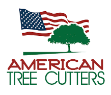 Maybe you would like to learn more about one of these? American Tree Cutters Tree Removal Service Palm Tree Trimming 13050 N Cave Creek Rd Ste 2 Phoenix Az Tree Services Mapquest