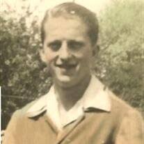 Peter J Stine Obituary