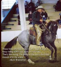 It is a grand passion. My All Time Warwick Schiller S Performance Horsemanship Facebook