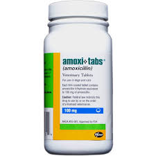 amoxicillin 100 mg sold per tablet