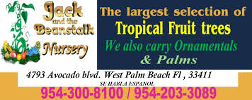 About pat ford's nursery since opening in 1995, pat ford's nursery has grown to become one of south florida's largest producers of woody ornamental, palm and foliage liners. Jack And Beanstalk Plant Nursery Posts Facebook