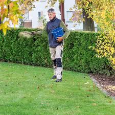 4.5 welche beschaffenheit muss der boden für rosen haben? Rasen Dungen So Wird Der Teppich Sattgrun Mein Schoner Garten