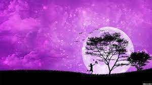 Tons of awesome full hd romantic wallpapers to download for free. Beautiful Romantic Moonlight Hd Wallpapers