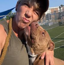 Fun little squirt alert! At 6 months old, Twister is very much a playful  puppy. He lights up with attention from people and is delighted to make new  friends as well as