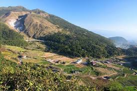 民國 109 年 12 月 10 日. å°åŒ—å¸‚ å¤§å±¯å±±è³žèŠ'èŠ±å¤•ç…§ å¥è¡Œç­†è¨˜