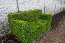 Boxwood Sofa Garden History Manor Garden Hedges